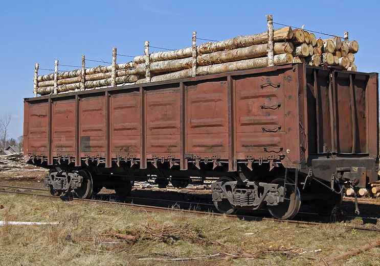 Перевозка Леса по ЖД из Бобровского в 25 км Голоустненского тракта